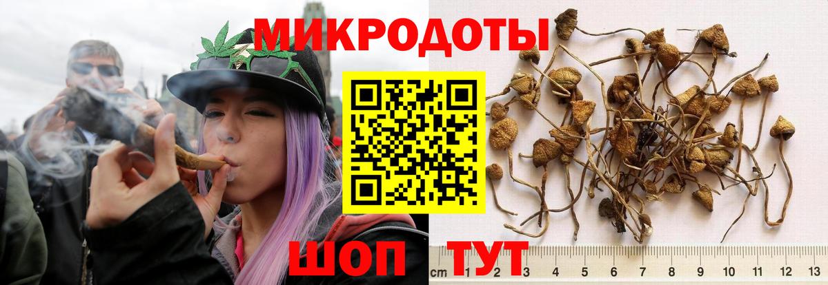 Псилоцибиновые грибы Magic Shrooms Белебей